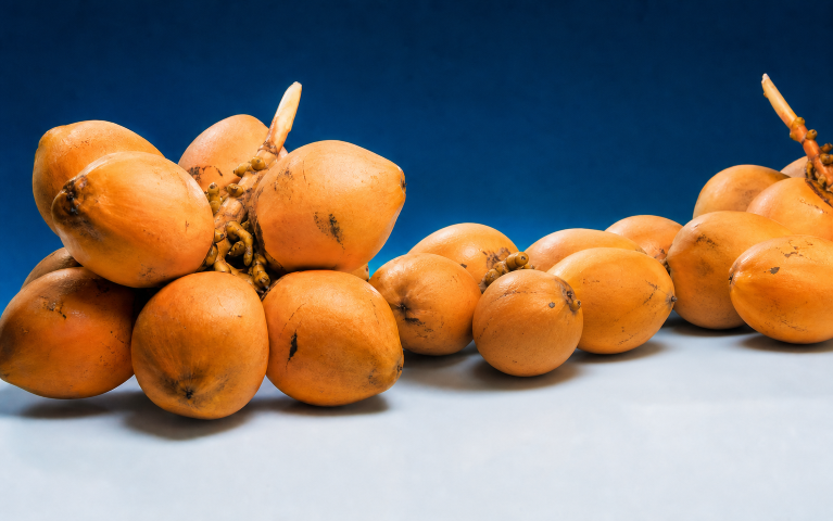 Fresh orange king coconuts prepared for export from Sri Lanka